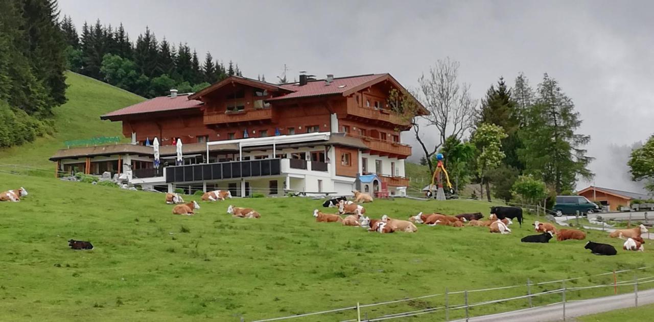 Berghaus Koglmoos Hotel Auffach Luaran gambar
