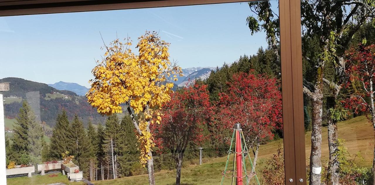 Berghaus Koglmoos Hotel Auffach Luaran gambar