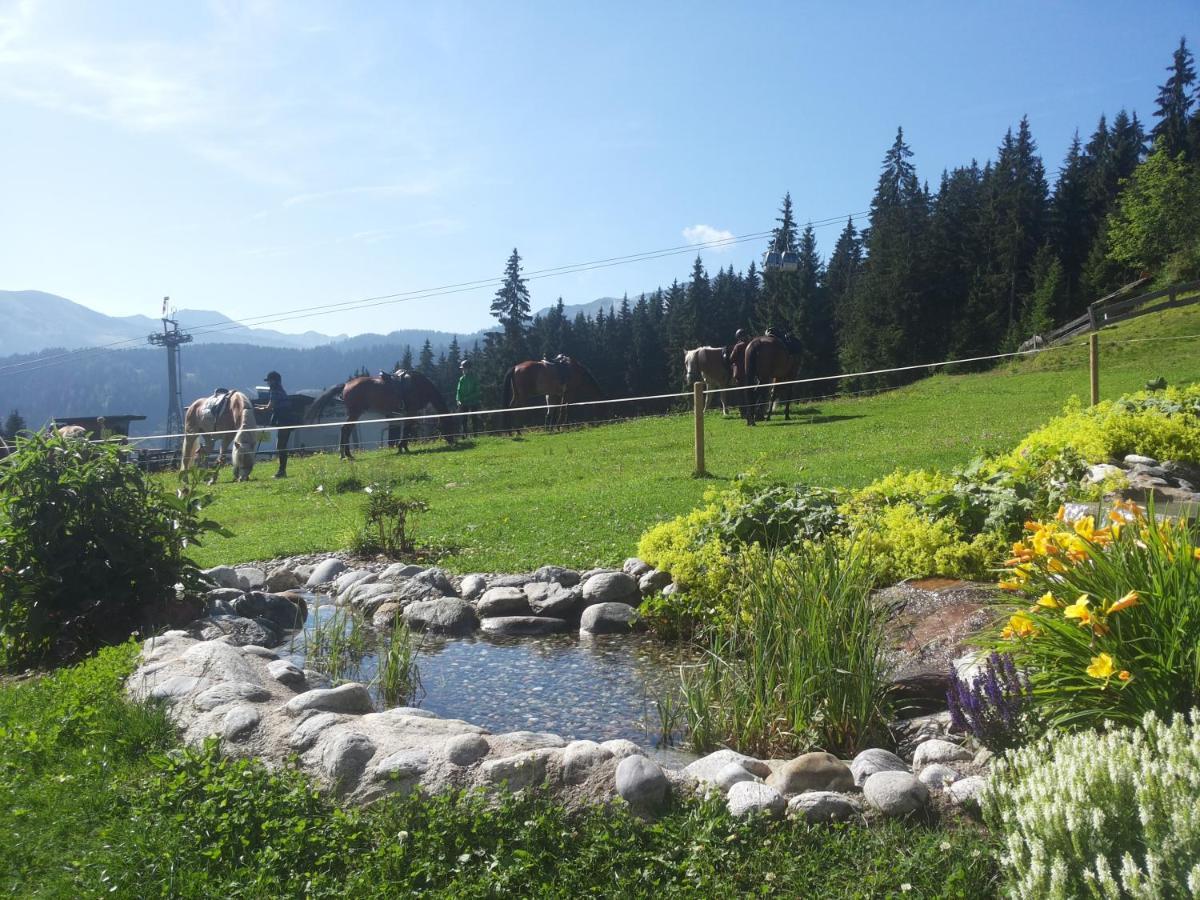 Berghaus Koglmoos Hotel Auffach Luaran gambar