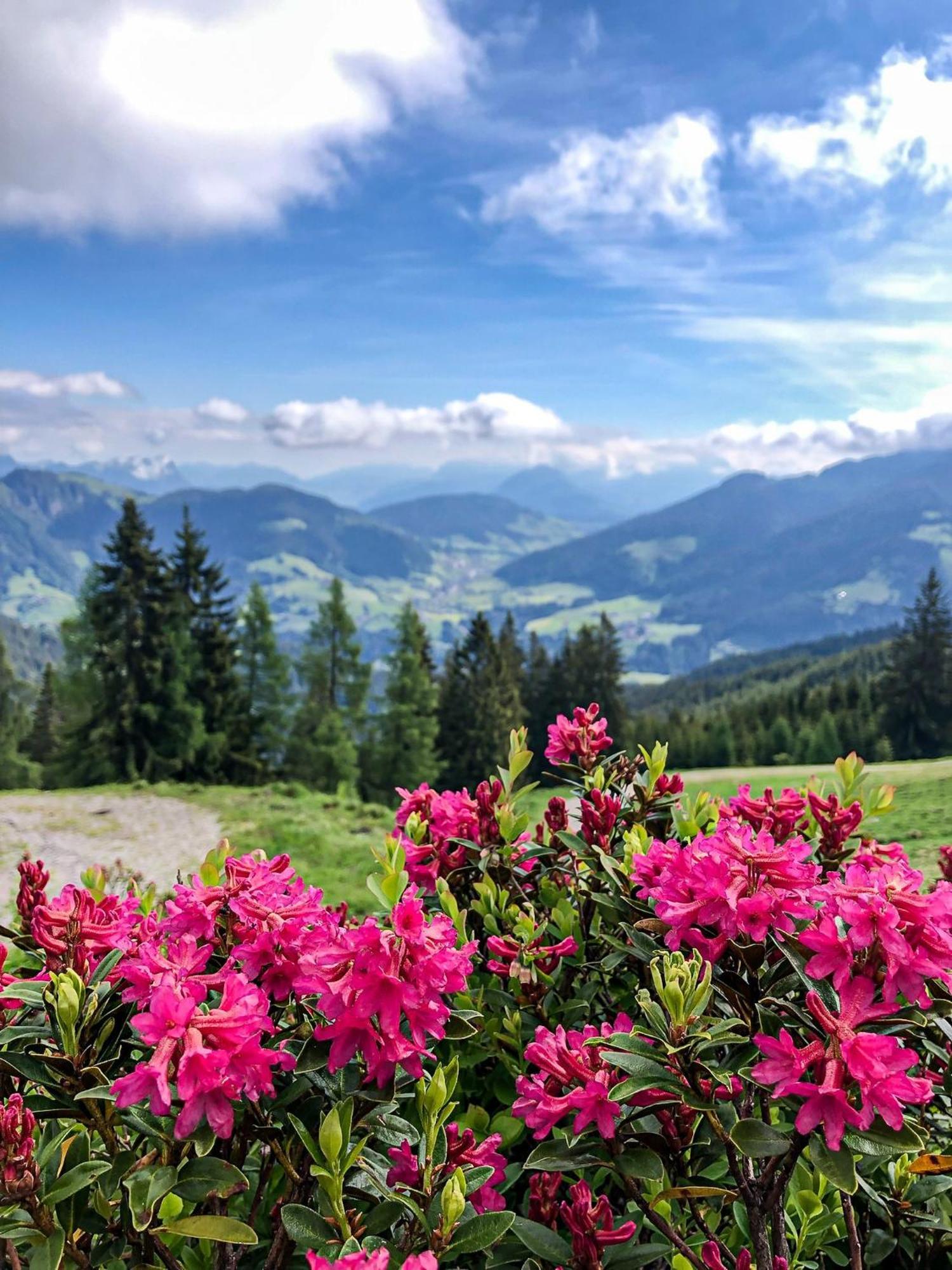 Berghaus Koglmoos Hotel Auffach Luaran gambar