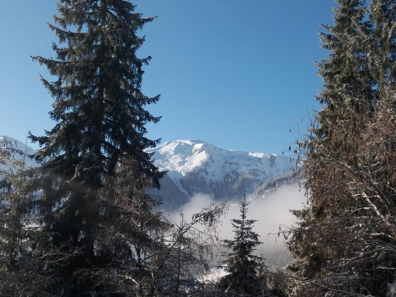 Berghaus Koglmoos Hotel Auffach Luaran gambar